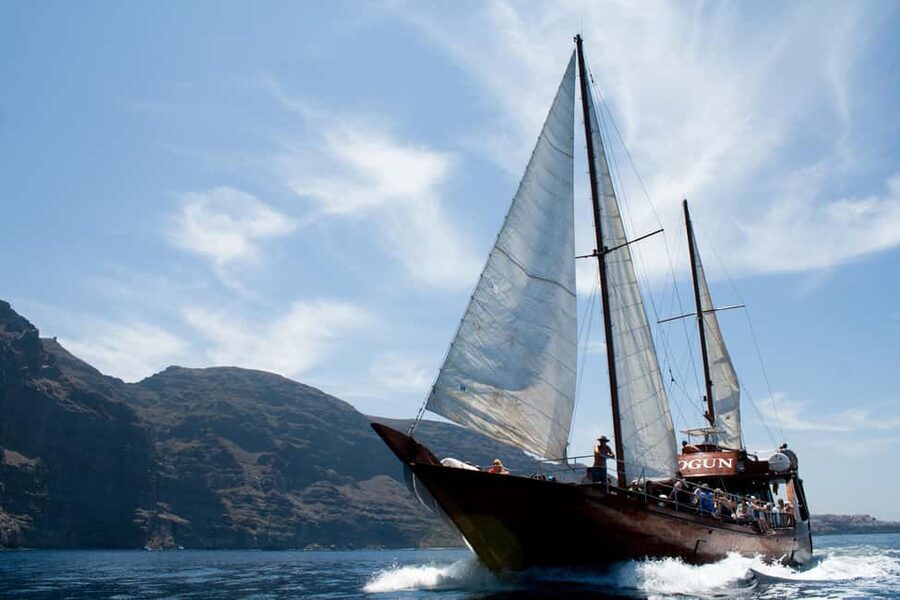 Costa Adeje: Whale & Dolphin Watching Cruise with Swim - Looking for whales and dolphins off Costa Adeje