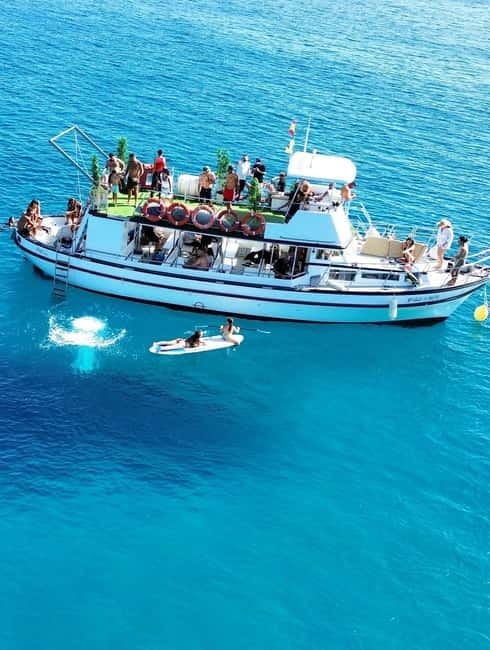 Costa Calma: Fuerteventura Dolphin Watching Boat Tour - Searching the Atlantic for dolphins