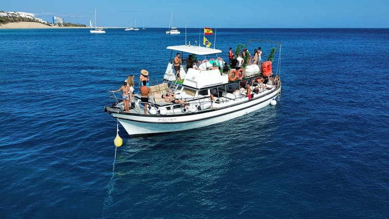 Costa Calma: Fuerteventura Dolphin Watching Boat Tour - Languages, timing, and cancellation flexibility