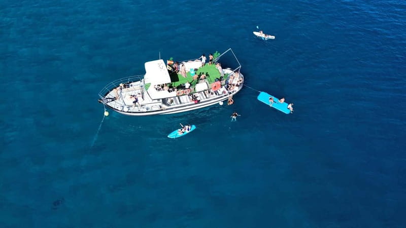 Costa Calma: Fuerteventura Dolphin Watching Boat Tour - Who should book this dolphin trip?