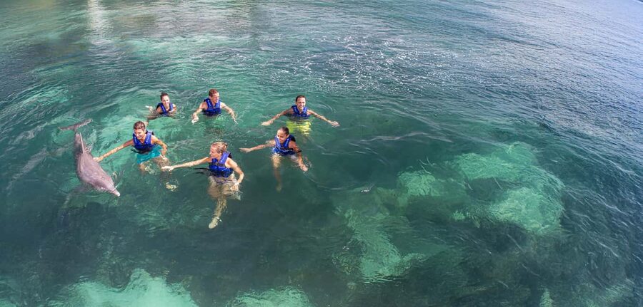 Costa Mujeres: Swim with Dolphins - Meeting the dolphins beside the sea