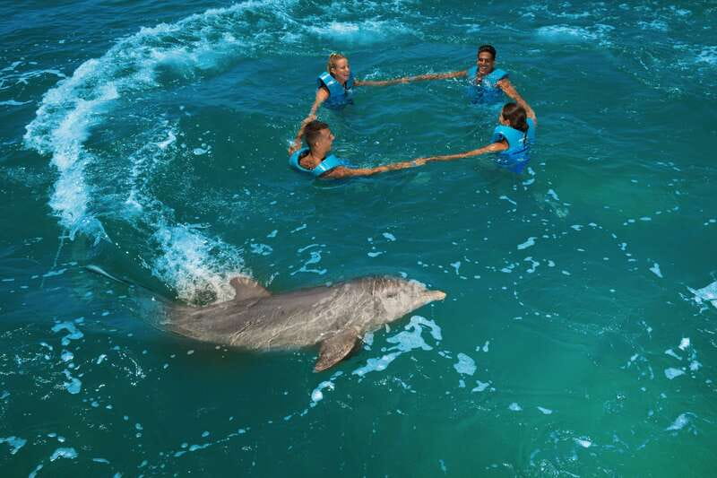 Costa Mujeres: Swim with Dolphins - What to bring and what to leave behind