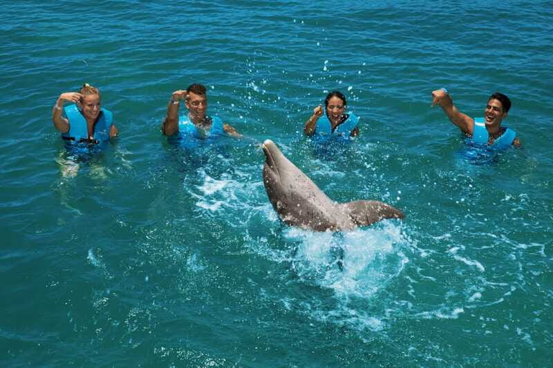 Costa Mujeres: Swim with Dolphins - Group size changes the feel
