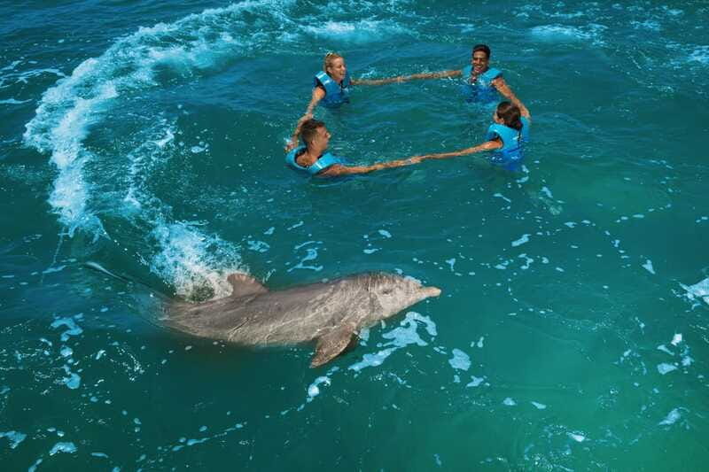 Costa Mujeres: Swim with Dolphins - A protected natural setting, with limits