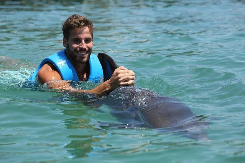 Costa Mujeres: Swim with Dolphins - Who should book this experience?