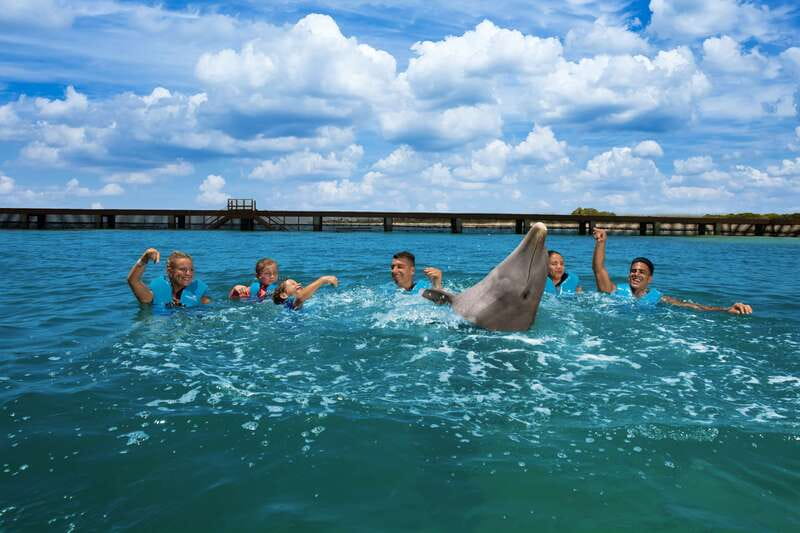 Costa Mujeres: Swim with Dolphins - What the hour includes