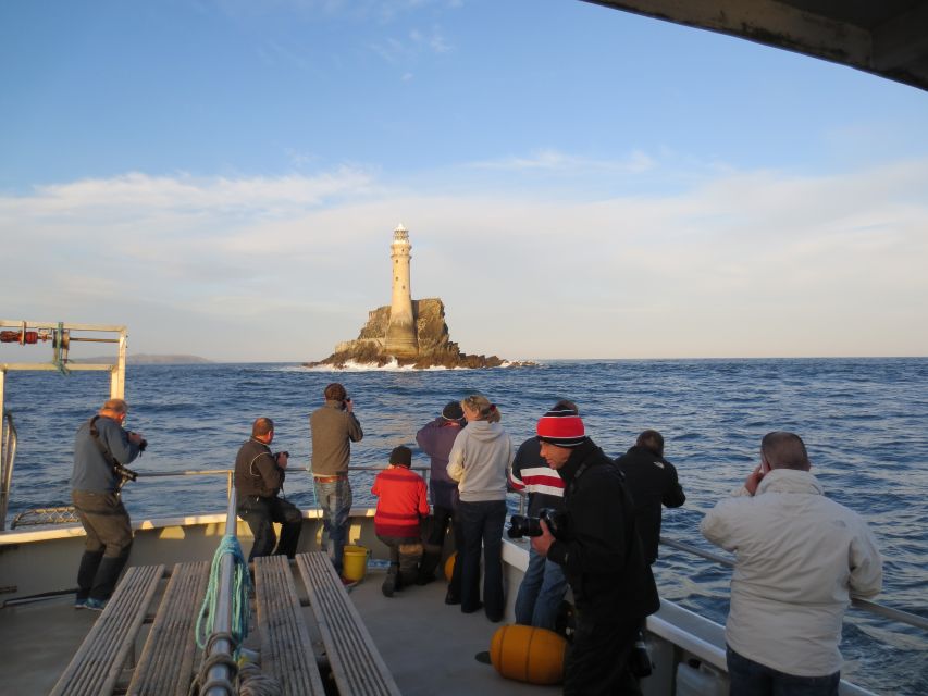 County Cork: Whale & Dolphin Watching Boat Trip - Booking advice for Baltimore