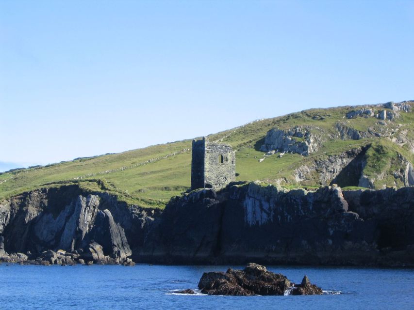 County Cork: Whale & Dolphin Watching Boat Trip - Leaving Baltimore on the Wave Chieftain