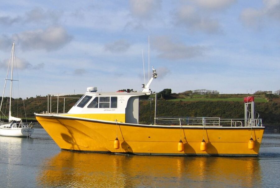 County Cork: Whale & Dolphin Watching Boat Trip - The scenery is part of the price