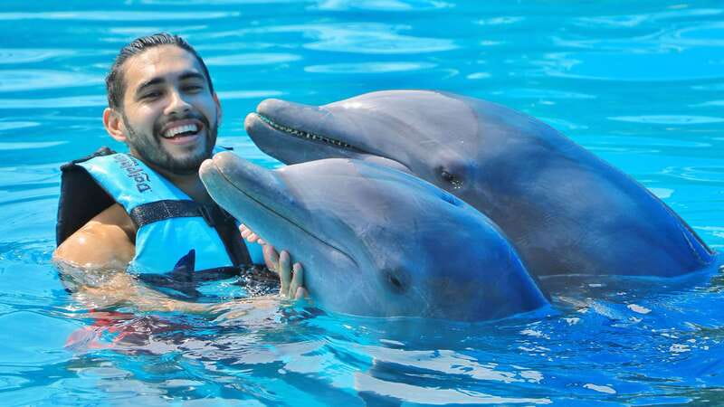 Cozumel: Dolphin Royal Connection and Manatee Interaction - What the 50-minute Cozumel program actually includes