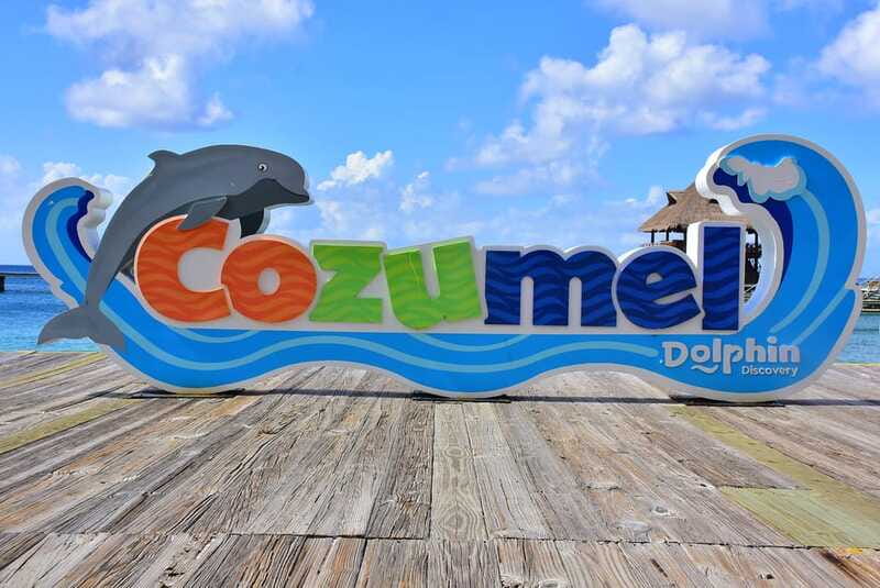 Cozumel: Dolphin Royal Connection and Manatee Interaction - Lunch, open bar, and the VIP area