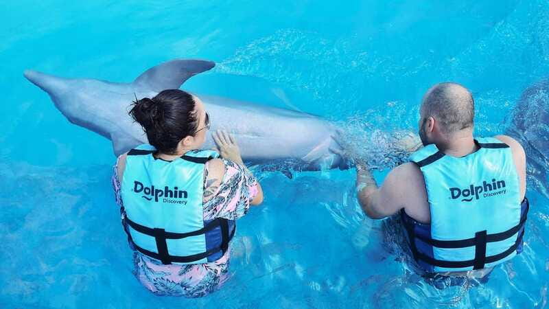 Cozumel: Dolphin Royal Connection and Manatee Interaction - The real cost: $135 plus the extras