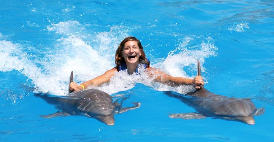 Cozumel: Dolphin Royal Connection and Manatee Interaction - Height rules and who should skip it