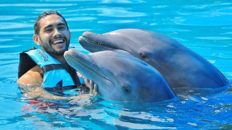 Cozumel: Dolphin Royal Connection and Manatee Interaction - Should you book the Cozumel Royal Swim?