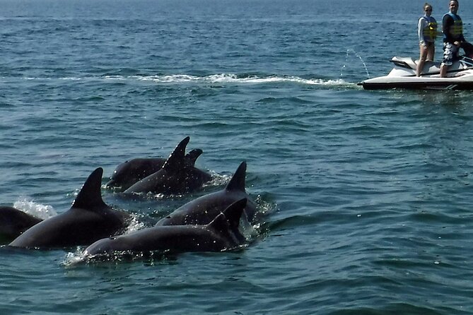 Crab Island Dolphin Jet Ski Adventure - What riding double is really like