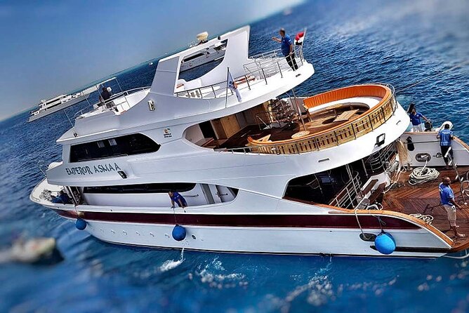 Cruise and Snorkeling with Dolphins Including Lunch from Hurghada - Who Will Get the Most From This Cruise