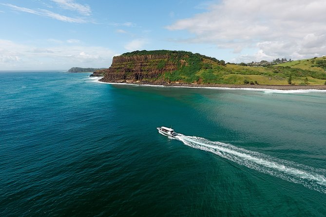 Cruise with Dolphins in Byron Bay - How much value do you get for $68.14?
