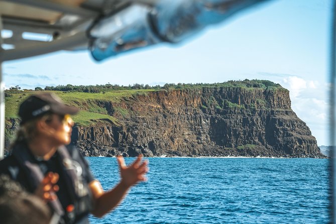 Cruise with Dolphins in Byron Bay - Should you book the Ballina dolphin cruise?