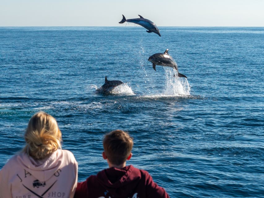 Dana Point Dolphin & Whale Watching With Underwater Viewing - The underwater pods and tram nets