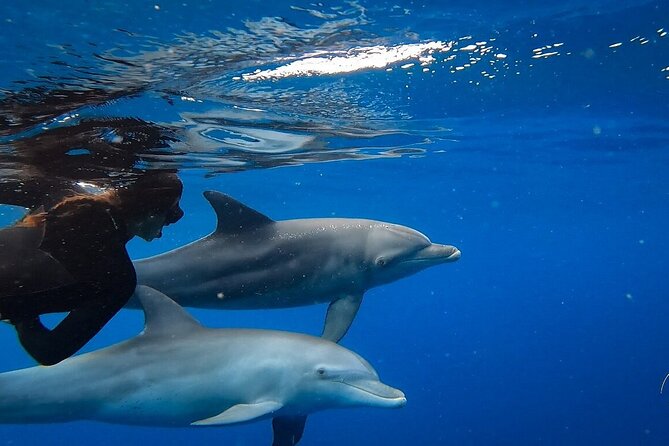 Day Trip to Ponta de Ouro Beach /Dolphin Swim+Snorkel+Whale Watch - A short wildlife stop near Maputo Special Reserve