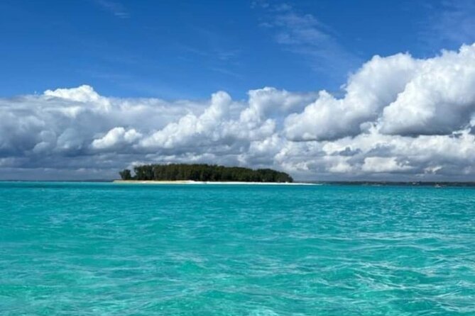 Day Trip Zanzibar: Snorkeling Dolphin Aquarium Turtles and Sunset - A slower finish at Kendwa Beach