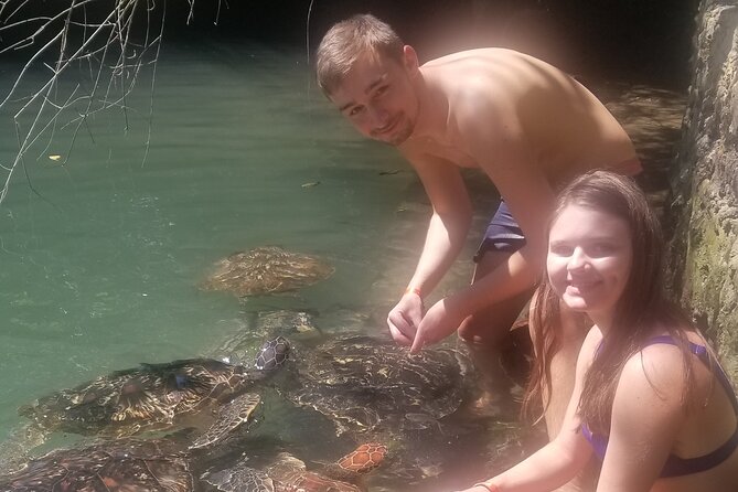 Day Trip Zanzibar: Snorkeling Dolphin Aquarium Turtles and Sunset - Booking, cancellation, and small details to confirm