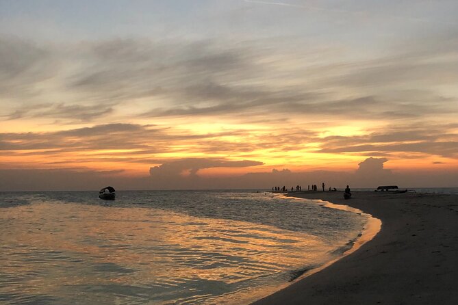 Day Trip Zanzibar: Snorkeling Dolphin Aquarium Turtles and Sunset - Meeting green sea turtles at Baraka Natural Aquarium