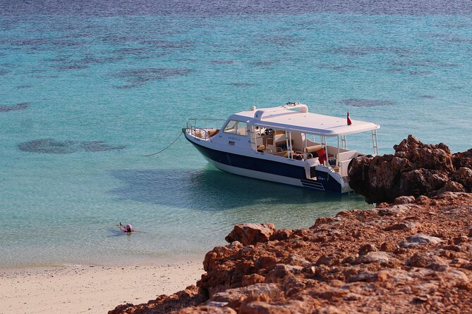 Daymaniyat island Natural Reserve and Dolphin Watching - Watching dolphins before the islands