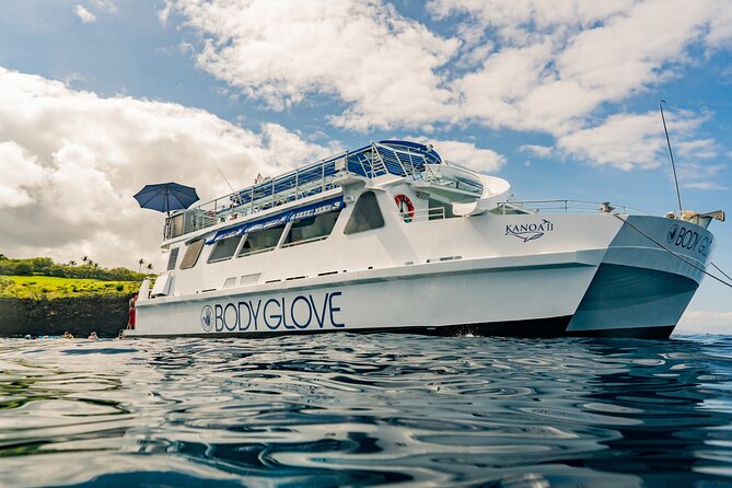 Deluxe Snorkel & Dolphin Watch Aboard a Luxury Catamaran from Kailua-Kona - Kona’s Gold Coast and the chance to see dolphins