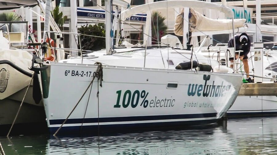 Denia: Sunset Electric Sailboat Cruise with Dolphin Spotting - Key points to know before you book
