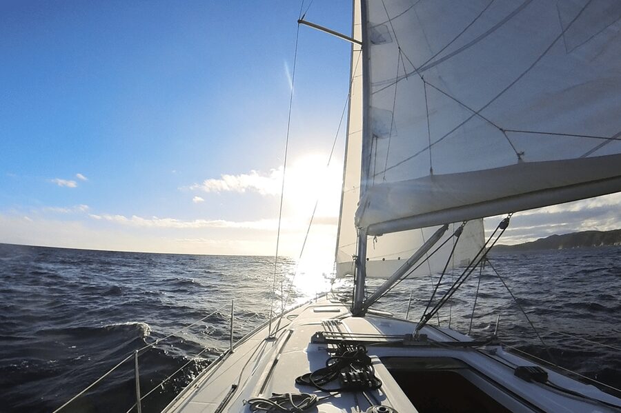 Denia: Sunset Electric Sailboat Cruise with Dolphin Spotting - A quiet way to meet the Mediterranean