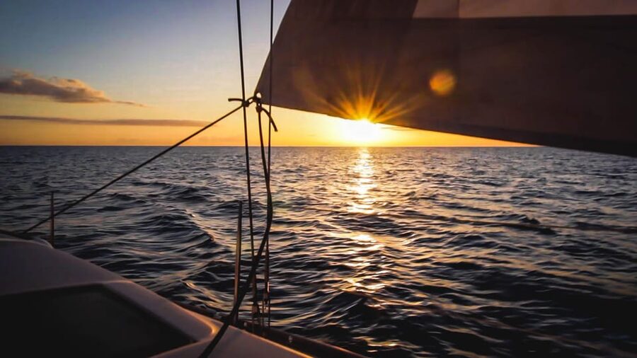 Denia: Sunset Electric Sailboat Cruise with Dolphin Spotting - How the hydrophone changes the search
