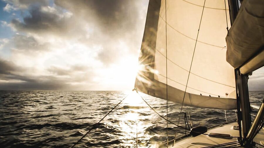 Denia: Sunset Electric Sailboat Cruise with Dolphin Spotting - Who will enjoy this Denia cruise most?