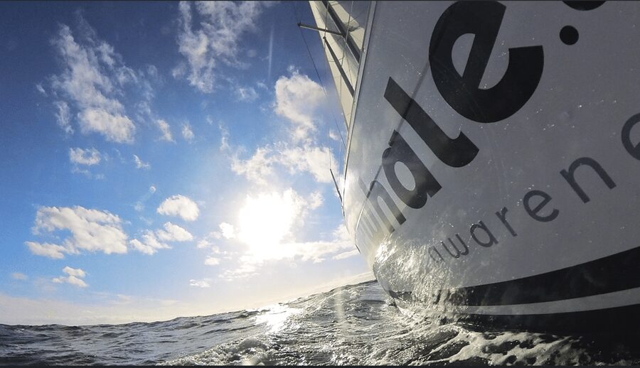 Denia: Sunset Electric Sailboat Cruise with Dolphin Spotting - Leaving Marina El Portet Denia