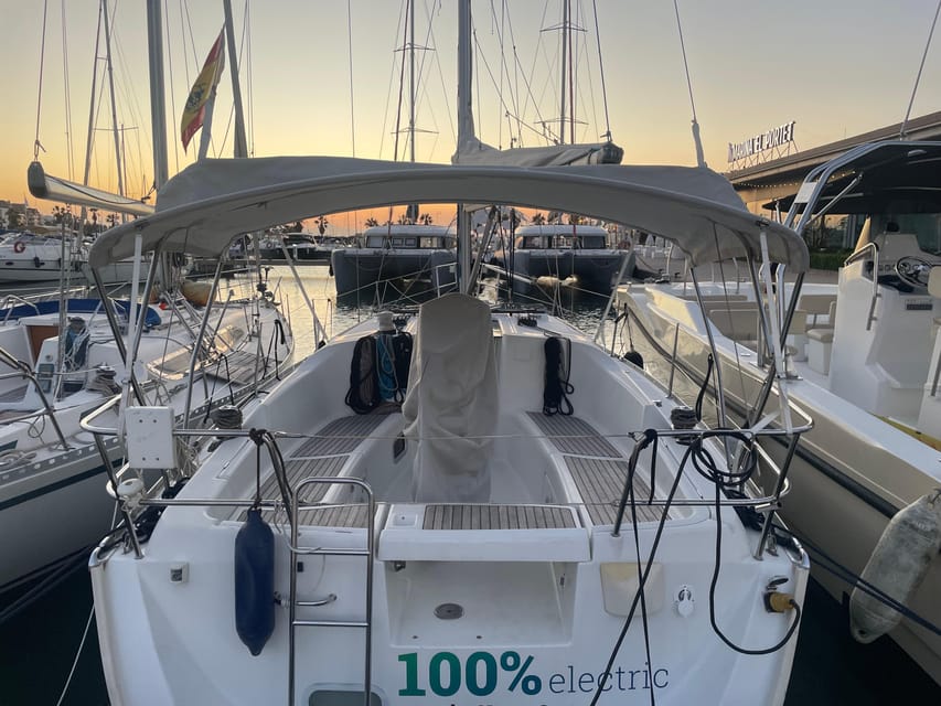 Denia: Whale and Dolphin Watching Morning Experience - Starting at Marina El Portet in Denia