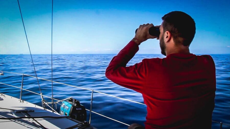 Denia: Whale and Dolphin Watching Morning Experience - What the $112 price really buys you