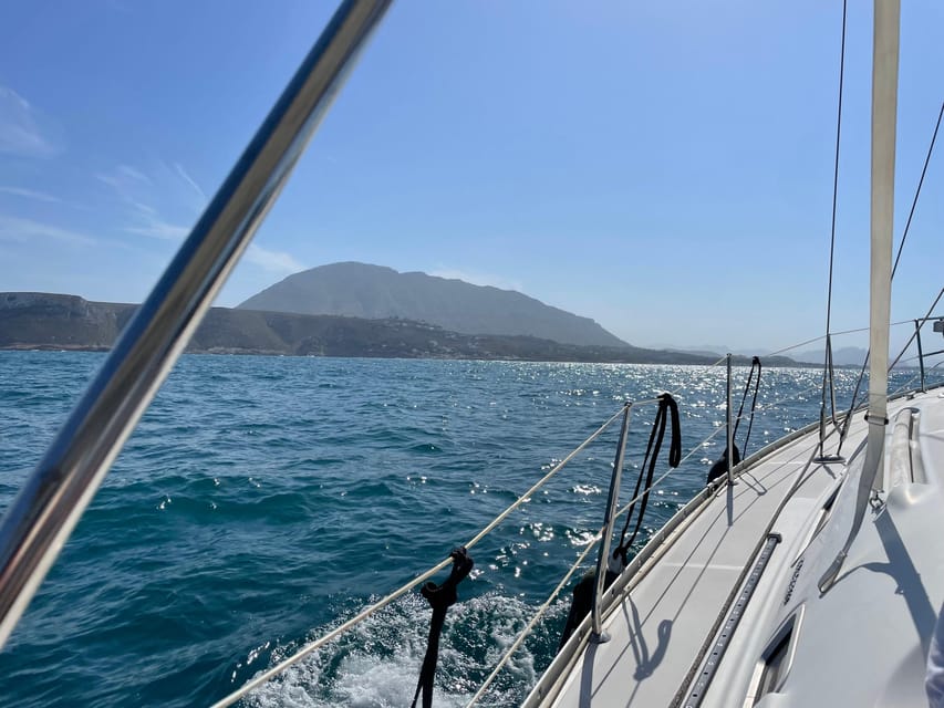 Denia: Whale and Dolphin Watching Morning Experience - The first lesson: why Denia matters for cetaceans