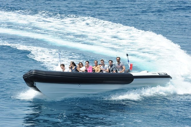 Depart Saint Raphaël: Meet the Dolphins - Who should book this Saint-Raphaël dolphin tour?
