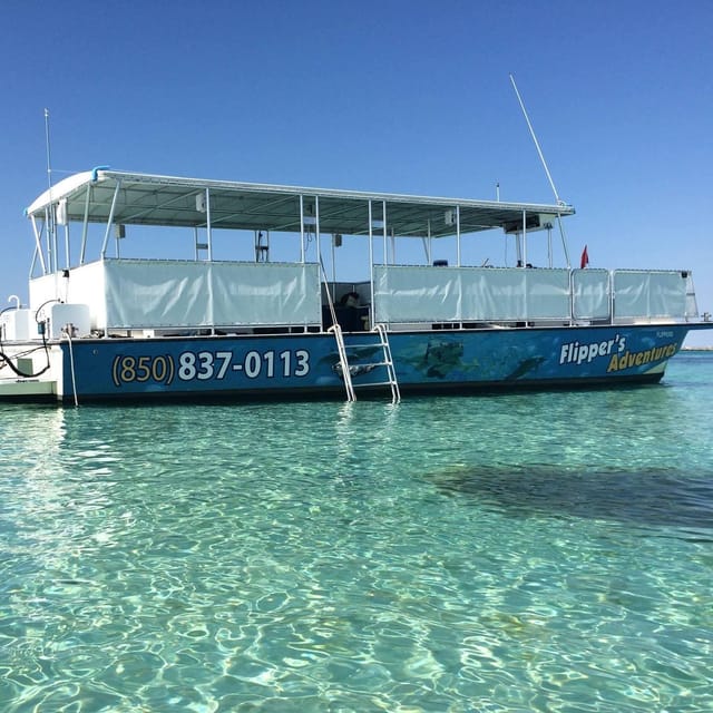 Destin: Crab Island Catamaran Tour with Dolphin Watching - The short cruise in search of dolphins