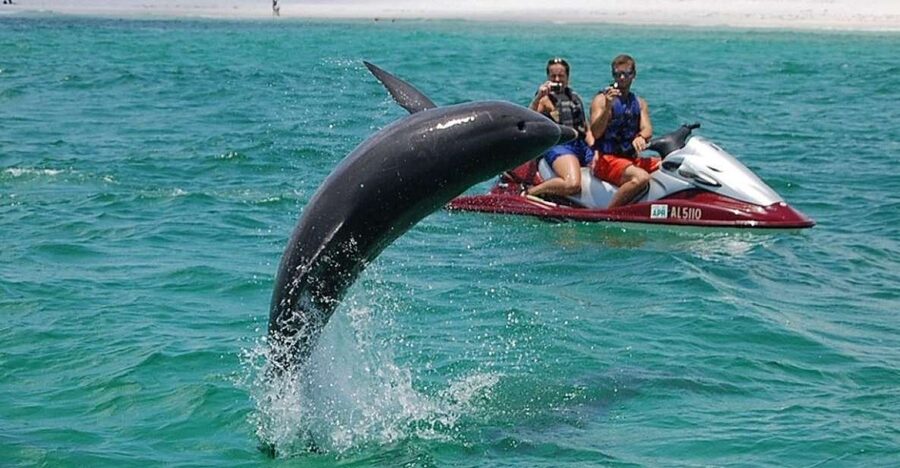 Destin: Crab Island Dolphin Jet Ski Tour - What the two-hour route is really like
