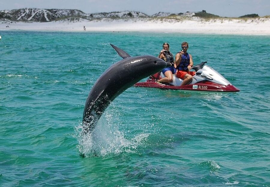 Destin: Crab Island Dolphin Jet Ski Tour - Why Crab Island adds more than a name