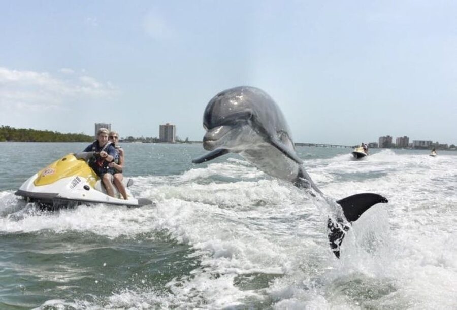Destin: Crab Island Dolphin Jet Ski Tour - Speed, scenery, and the effort required