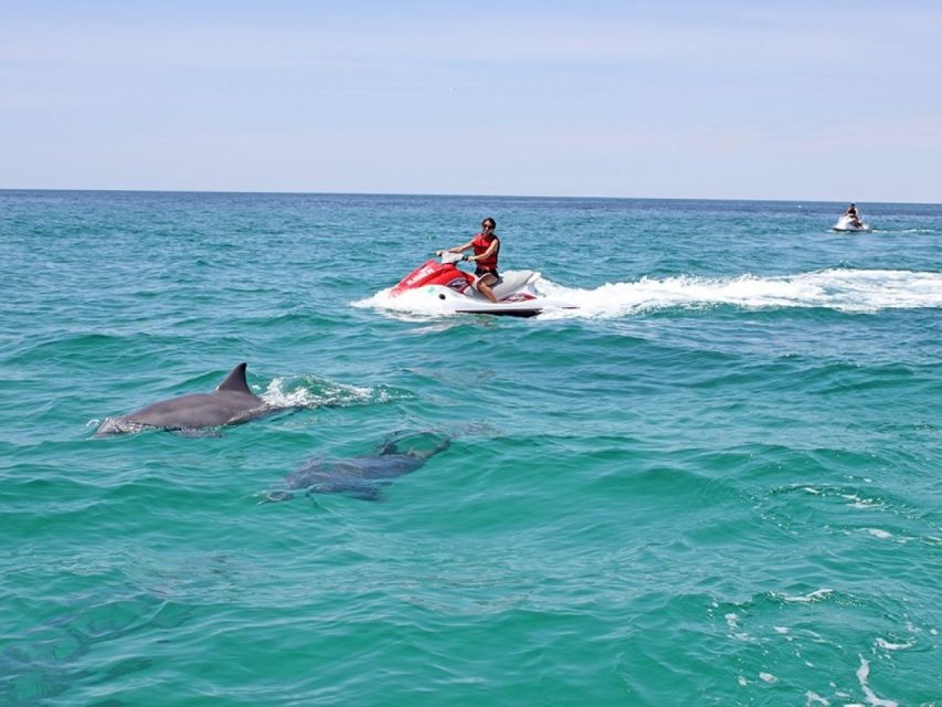 Destin: Crab Island Dolphin Jet Ski Tour - What to bring and what can stop you at check-in