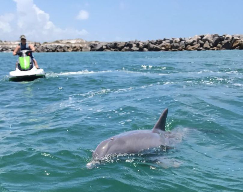 Destin: Crab Island Dolphin Jet Ski Tour - Who will enjoy this Destin adventure most