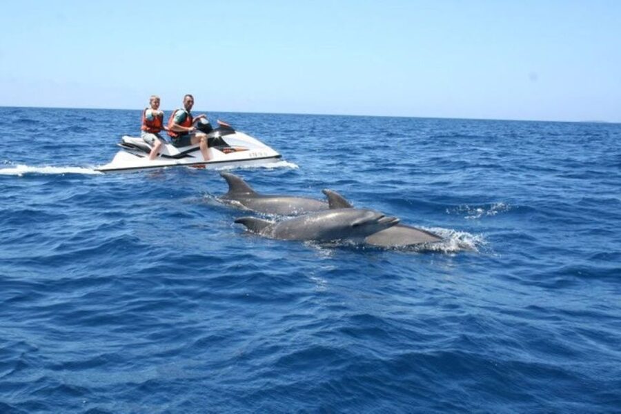 Destin: Crab Island Dolphin Jet Ski Tour - FAQ