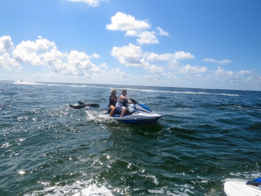 Destin: Crab Island Dolphin Jet Ski Tour - Watching dolphins without treating them like a show