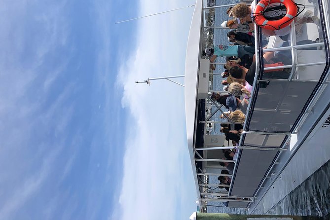 Destin Dolphin Cruise - What the $30 price really buys you