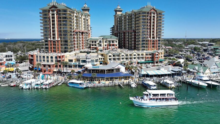 Destin: Dolphin Cruise aboard a Glass-Bottom Boat - Feeding sea birds near East Pass