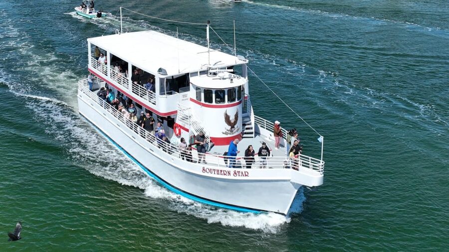Destin: Dolphin Cruise aboard a Glass-Bottom Boat - Searching for dolphins in the Gulf or bay