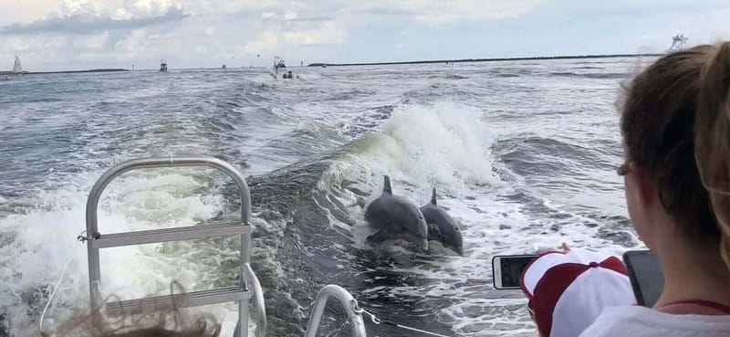 Destin: Dolphin Watching Cruise - Boat comfort, motion, and seating